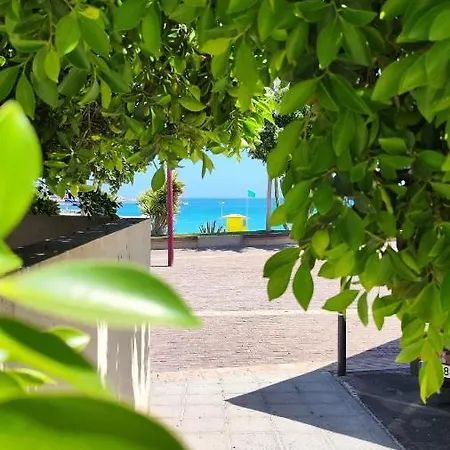 Fabelo Apartment, Daire