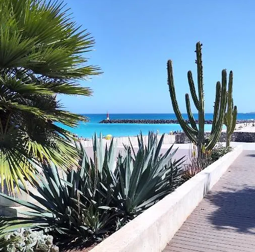 Fabelo Apartment, Lägenhet