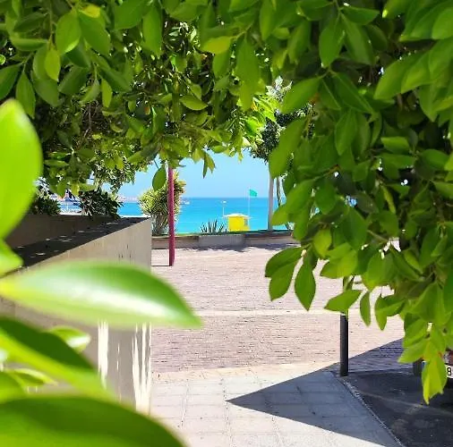 Fabelo Apartment, Lägenhet